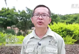 关于足球教练团队再添新成员,战术调整或将带来新突破的信息 关于足球教练团队再添新成员,战术调整或将带来新突破的信息