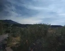 包含卡塔尼亚主场取胜,冲击中下游位置的词条 包含卡塔尼亚主场取胜,冲击中下游位置的词条