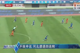 关于上海申花不敌江苏苏宁遭遇两连败的信息