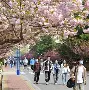 青岛黄海队磨合进度缓慢，求胜欲望不足的简单介绍